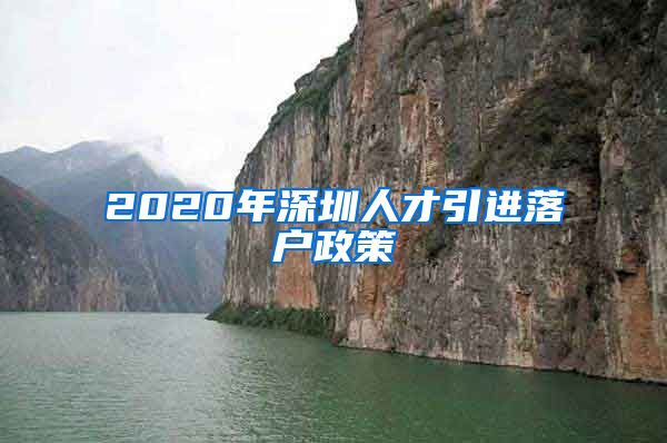 2020年深圳人才引进落户政策