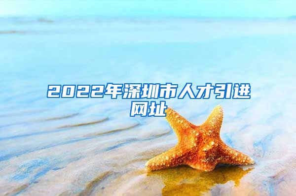 2022年深圳市人才引进网址