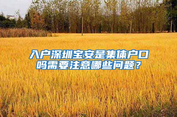 入户深圳宝安是集体户口吗需要注意哪些问题？