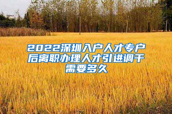 2022深圳入户人才专户后离职办理人才引进调干需要多久