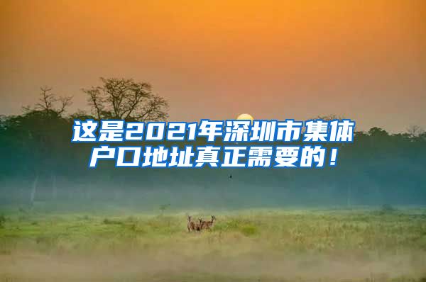 这是2021年深圳市集体户口地址真正需要的！