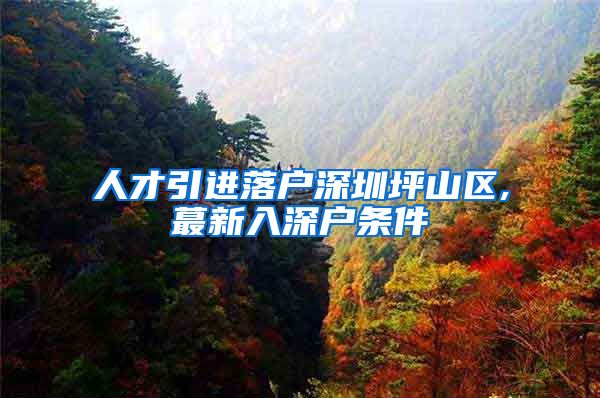 人才引进落户深圳坪山区,蕞新入深户条件