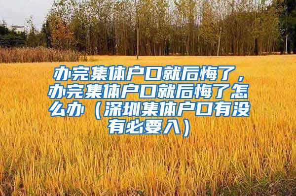 办完集体户口就后悔了，办完集体户口就后悔了怎么办（深圳集体户口有没有必要入）