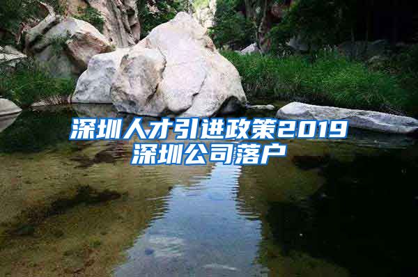 深圳人才引进政策2019深圳公司落户