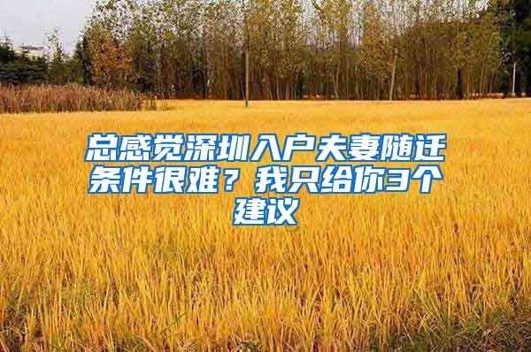 总感觉深圳入户夫妻随迁条件很难？我只给你3个建议