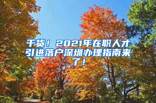 干货！2021年在职人才引进落户深圳办理指南来了！