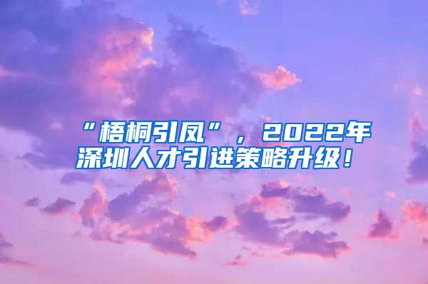 “梧桐引凤”，2022年深圳人才引进策略升级！