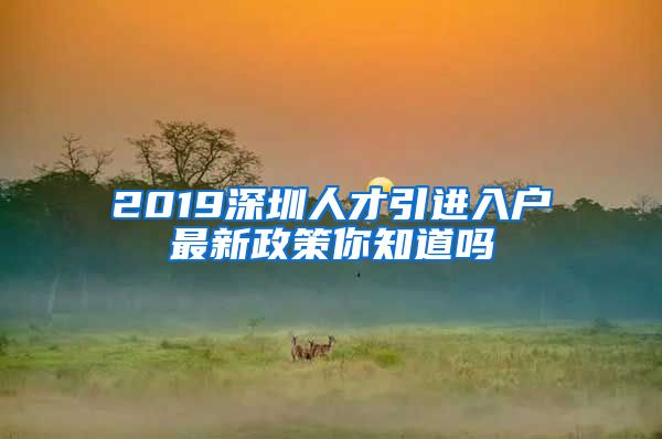 2019深圳人才引进入户最新政策你知道吗