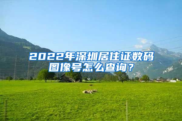 2022年深圳居住证数码图像号怎么查询？