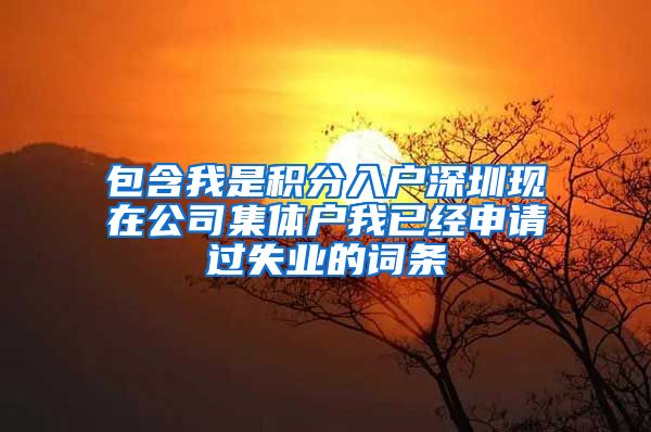 包含我是积分入户深圳现在公司集体户我已经申请过失业的词条