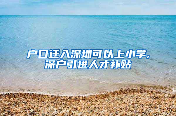 户口迁入深圳可以上小学,深户引进人才补贴