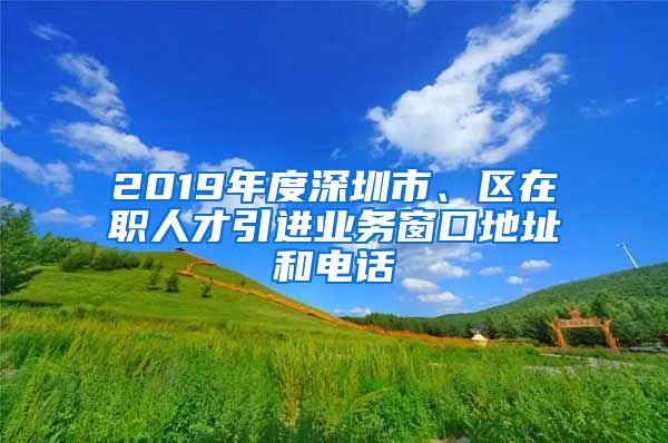 2019年度深圳市、区在职人才引进业务窗口地址和电话