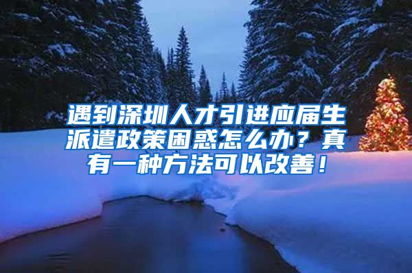 遇到深圳人才引进应届生派遣政策困惑怎么办？真有一种方法可以改善！