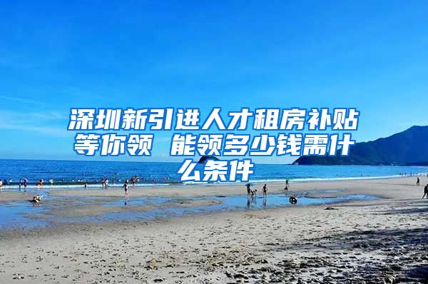 深圳新引进人才租房补贴等你领 能领多少钱需什么条件