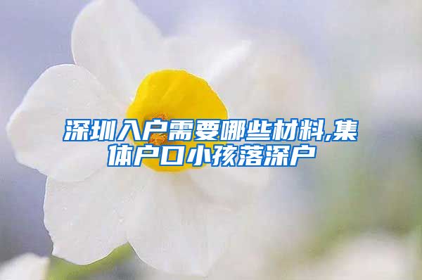 深圳入户需要哪些材料,集体户口小孩落深户