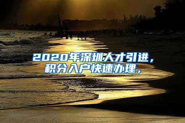 2020年深圳人才引进，积分入户快速办理，