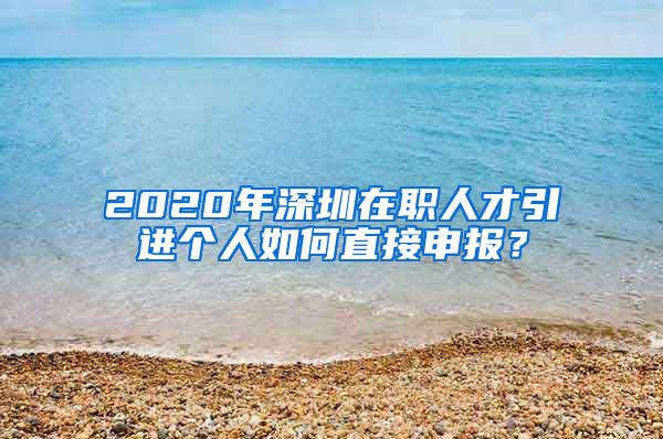 2020年深圳在职人才引进个人如何直接申报？