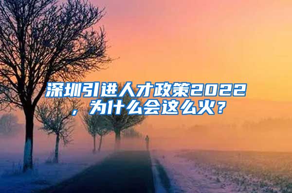 深圳引进人才政策2022，为什么会这么火？