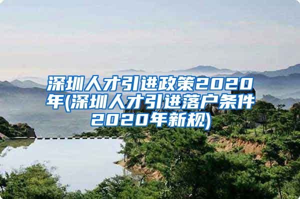 深圳人才引进政策2020年(深圳人才引进落户条件2020年新规)