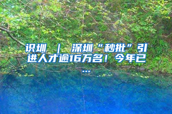 识圳 ｜ 深圳“秒批”引进人才逾16万名！今年已...