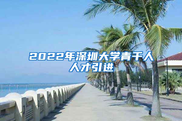 2022年深圳大学青千人人才引进