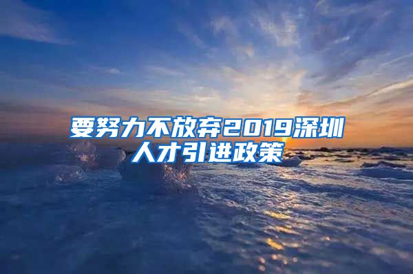 要努力不放弃2019深圳人才引进政策