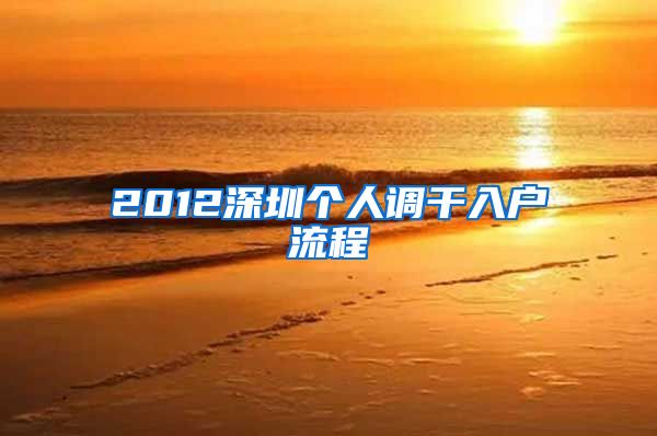 2012深圳个人调干入户流程