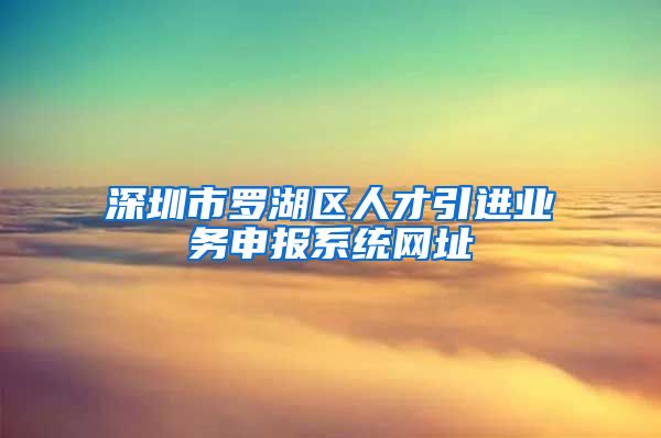 深圳市罗湖区人才引进业务申报系统网址