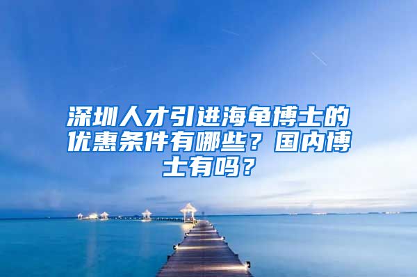 深圳人才引进海龟博士的优惠条件有哪些？国内博士有吗？