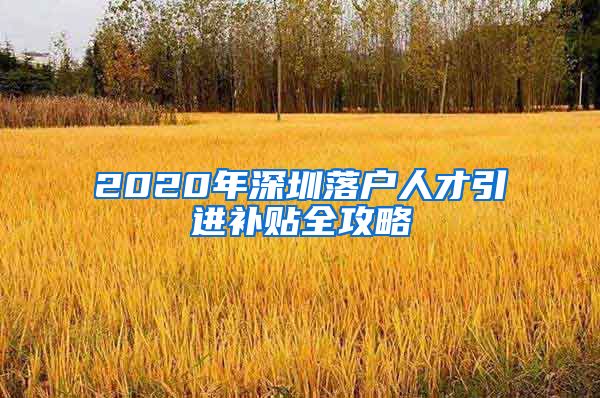 2020年深圳落户人才引进补贴全攻略