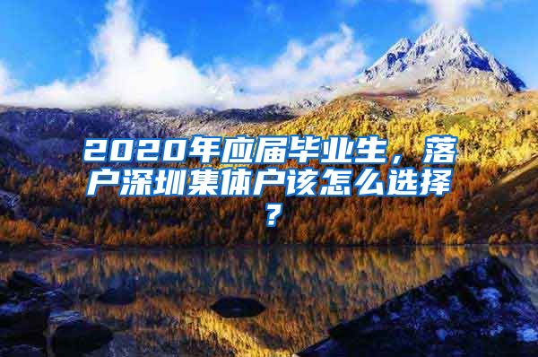 2020年应届毕业生，落户深圳集体户该怎么选择？