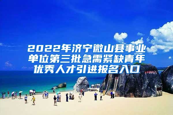 2022年济宁微山县事业单位第三批急需紧缺青年优秀人才引进报名入口