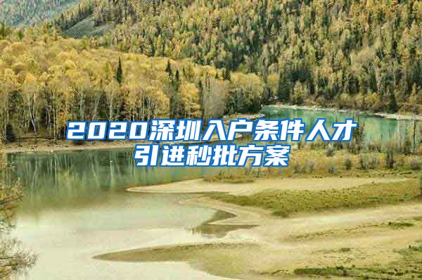 2020深圳入户条件人才引进秒批方案