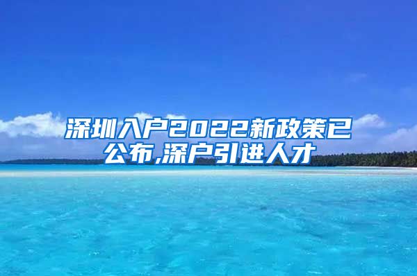 深圳入户2022新政策已公布,深户引进人才