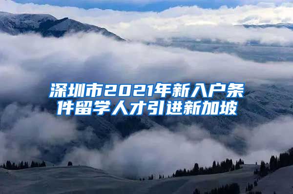 深圳市2021年新入户条件留学人才引进新加坡