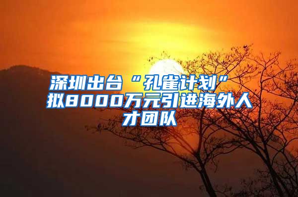 深圳出台“孔雀计划” 拟8000万元引进海外人才团队