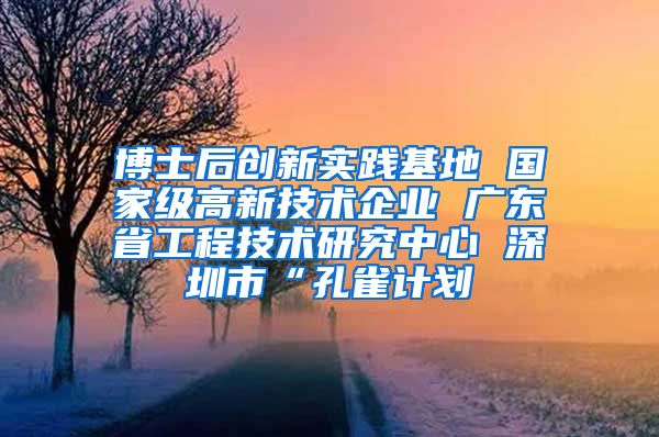 博士后创新实践基地 国家级高新技术企业 广东省工程技术研究中心 深圳市“孔雀计划