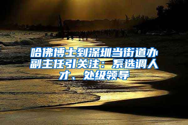 哈佛博士到深圳当街道办副主任引关注：系选调人才、处级领导