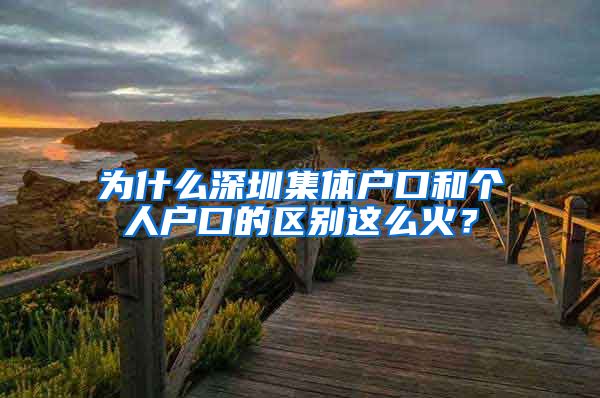 为什么深圳集体户口和个人户口的区别这么火？