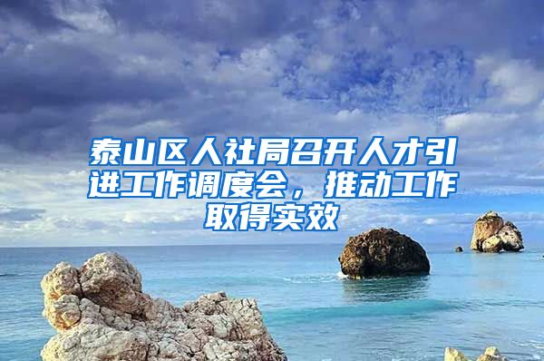 泰山区人社局召开人才引进工作调度会，推动工作取得实效