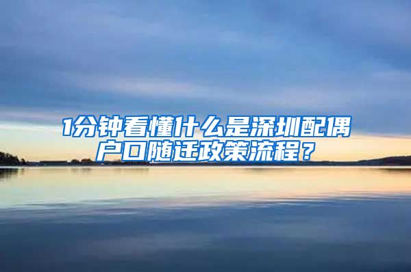 1分钟看懂什么是深圳配偶户口随迁政策流程？