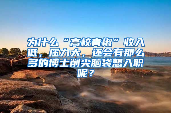 为什么“高校青椒”收入低，压力大，还会有那么多的博士削尖脑袋想入职呢？