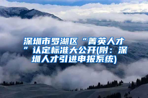 深圳市罗湖区“菁英人才”认定标准大公开(附：深圳人才引进申报系统)