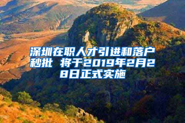 深圳在职人才引进和落户秒批 将于2019年2月28日正式实施