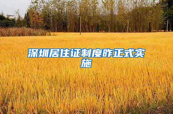 深圳居住证制度昨正式实施