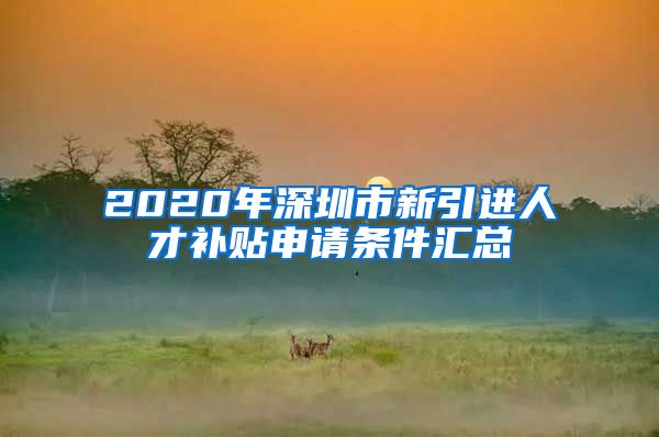 2020年深圳市新引进人才补贴申请条件汇总