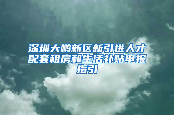 深圳大鹏新区新引进人才配套租房和生活补贴申报指引