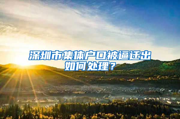 深圳市集体户口被逼迁出如何处理？