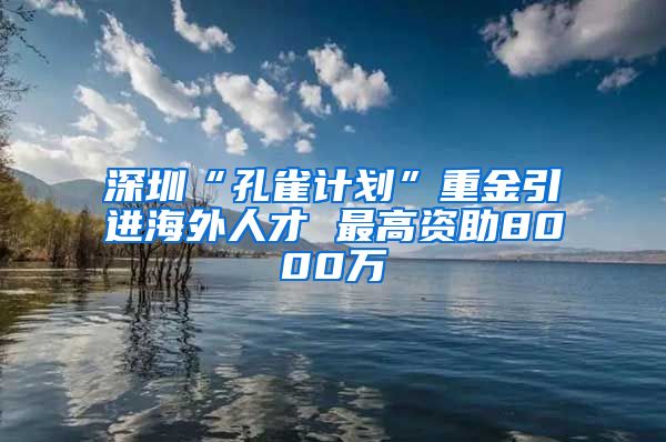 深圳“孔雀计划”重金引进海外人才 最高资助8000万