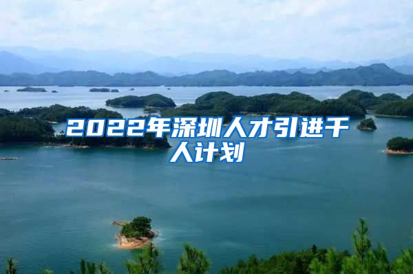 2022年深圳人才引进千人计划